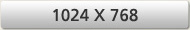 1024 X 768