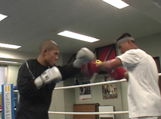 練習風景(ミット打ち)